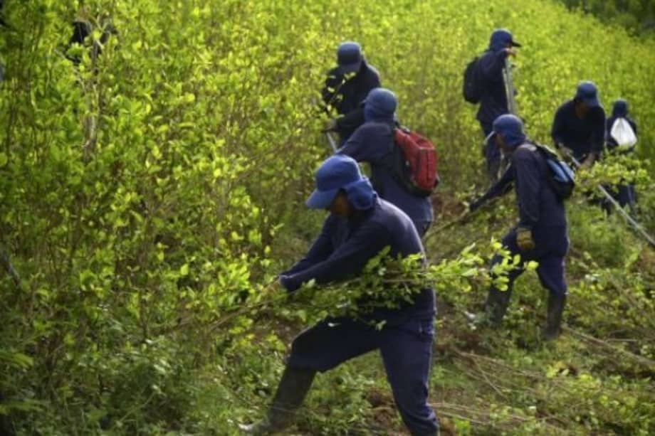 La Agencia para la Renovación del Territorio es dirigida por Mariana Escobar. / Archivo