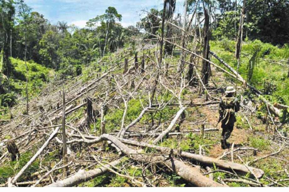 El objetivo es que las 20 millones de hectáreas de tierras degradadas se recuperen para el 2020. / Archivo