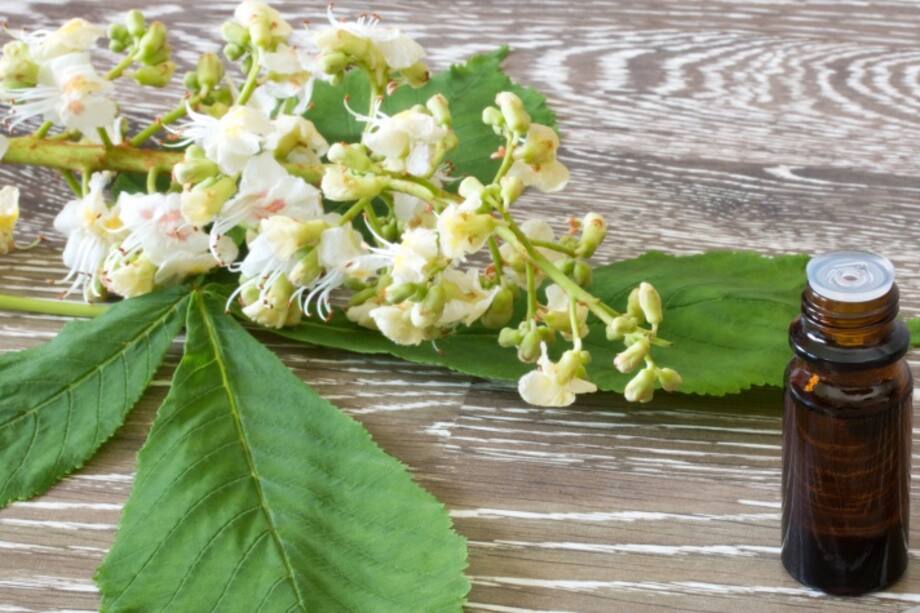 Terapia de flores de Bach que te ayudará a perder peso naturalmente