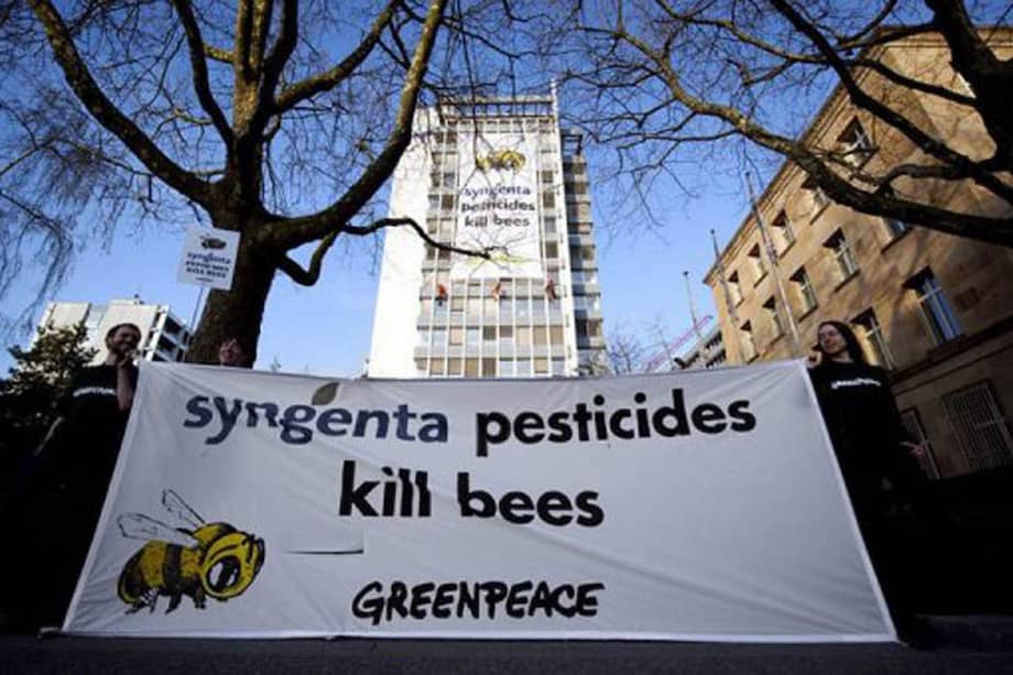 Greenpeace protesta en Suiza contra los plaguicidas que matan abejas