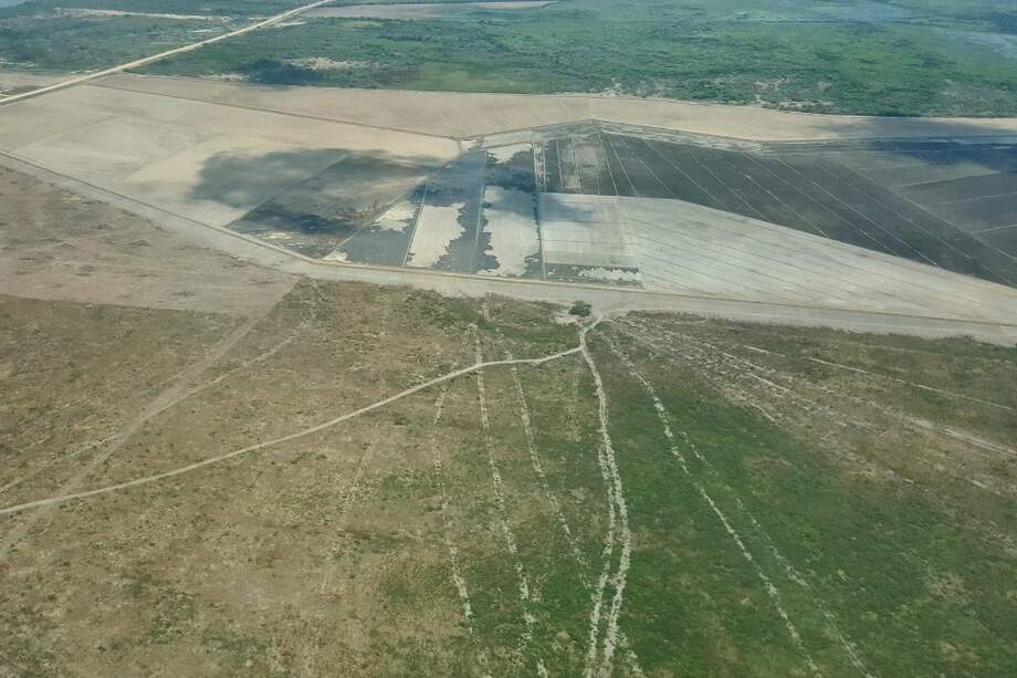 El terreno donde se encuentra el cultivo está en la vía Palermo-Sitio Nuevo. / Cortesía