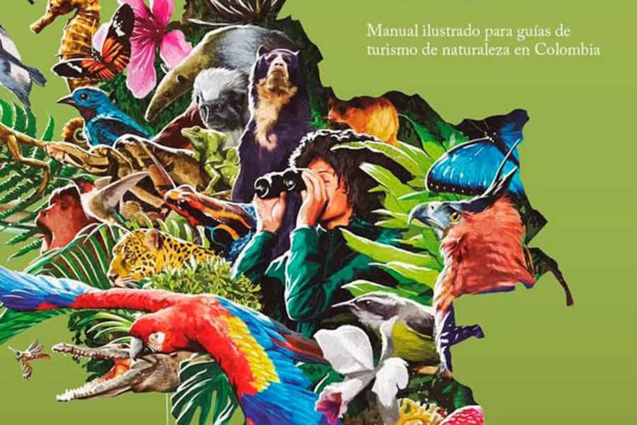 Portada de la guía oficial.