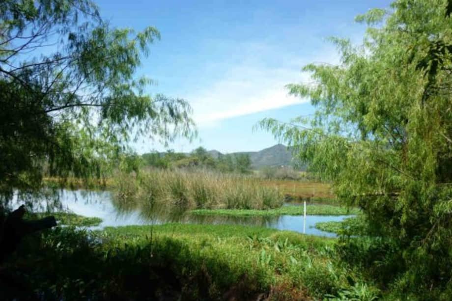 Distrito anuncia medidas de protección para el humedal La Conejera