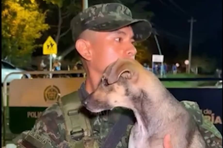 La historia de Aqua se suma a las decenas de rescates de animales que se han registrado en Córdoba.