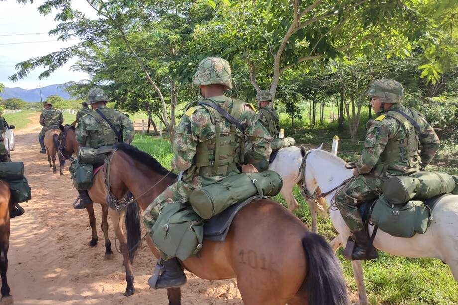 El Ejército Nacional, junto con la Universidad Nacional, crearon una raza de caballo con el objetivo de conservar al caballo criollo de la Orinoquía.