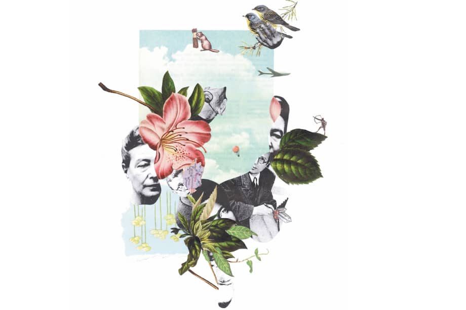 / Ilustración: Tania Bernal