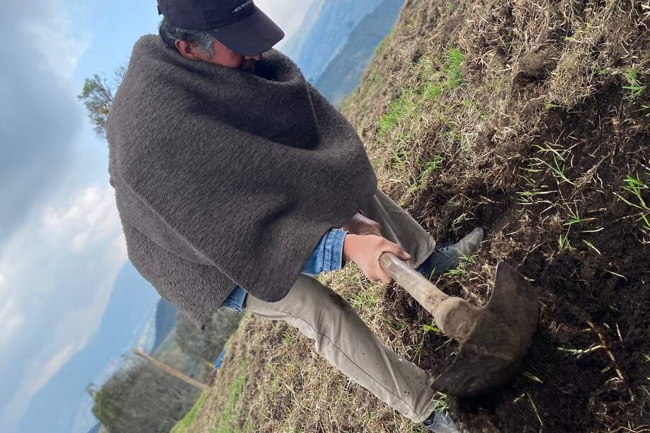 La ruralidad bogotana aporta cerca del 3% de los alimentos que necesita la ciudad, especialmente hortalizas, papa y lácteos.