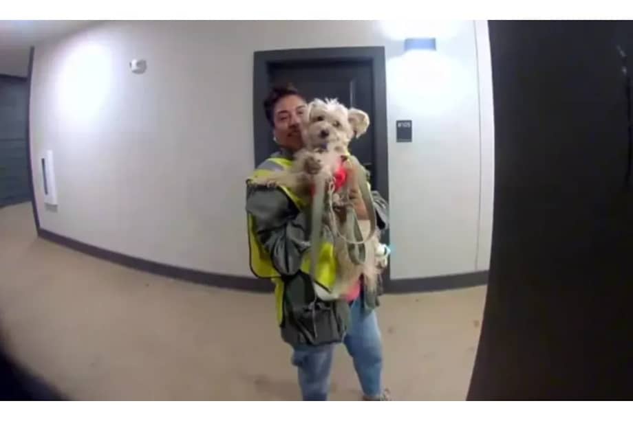 Conmovida por la situación, Perkins organizó una campaña en GoFundMe con una meta de 16.000 dólares.