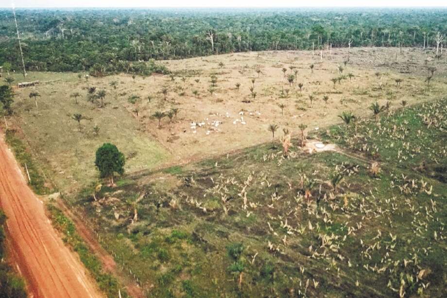 La amazonia colombian sigue sufriendo una alta tasa de deforestación.