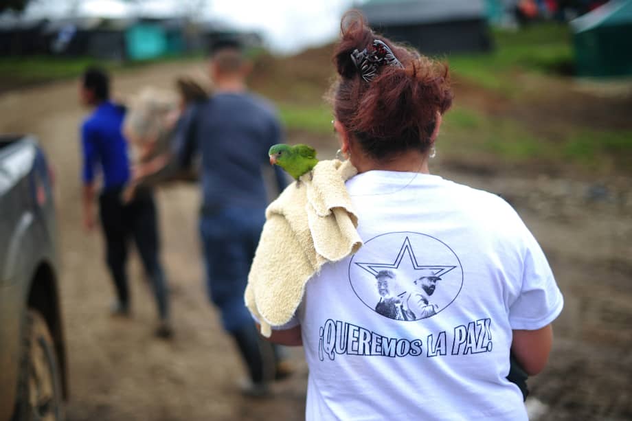 En el Espacio Territorial de Capacitación y Reincorporación de La Macarena (Meta) hay unas cuatro mujeres embarazadas y 14 niños/Cristian Garavito