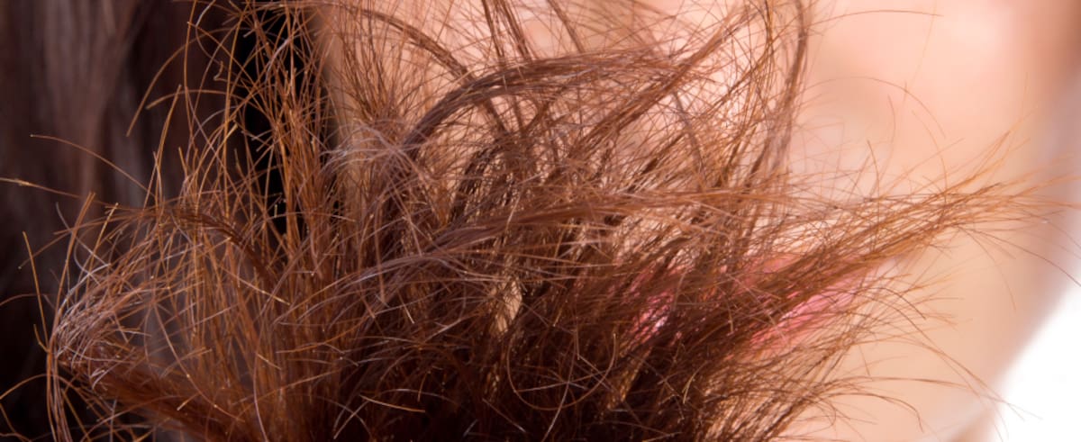 Mascarilla de aguacate para el cabello seco y maltratado