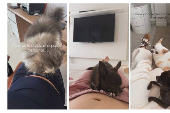 Lina Tejeiro enterneció con las primeras fotos de su embarazo. Así luce en esta nueva etapa | Revista Vea