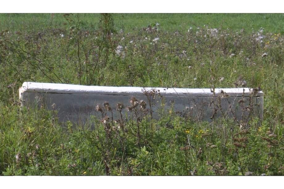 Fabrican en Holanda un ataúd a base de hongos para preservar la naturaleza