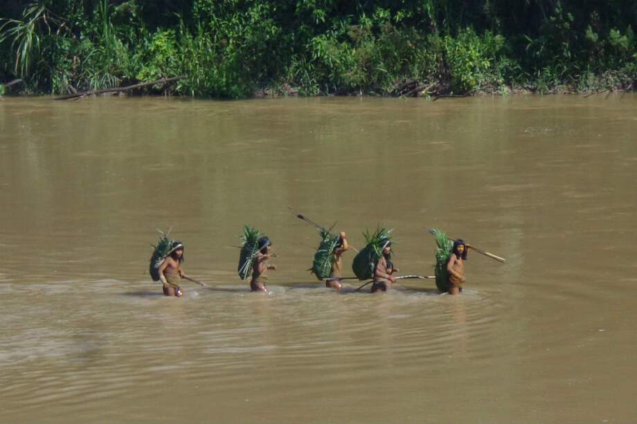 Los mascho piro son el grupo de indígenas en aislamiento voluntario más numeroso del que se tiene noticia. Viven en la Amazonía peruana. / Ministerio de Cultura de Perú