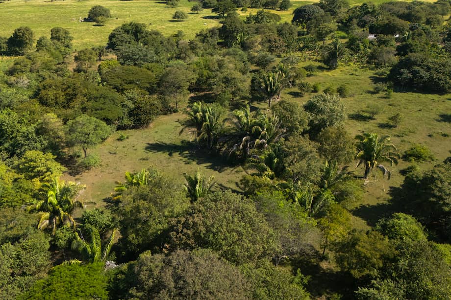 Serranía del Parijá, municipio de Becerril (Cesar).