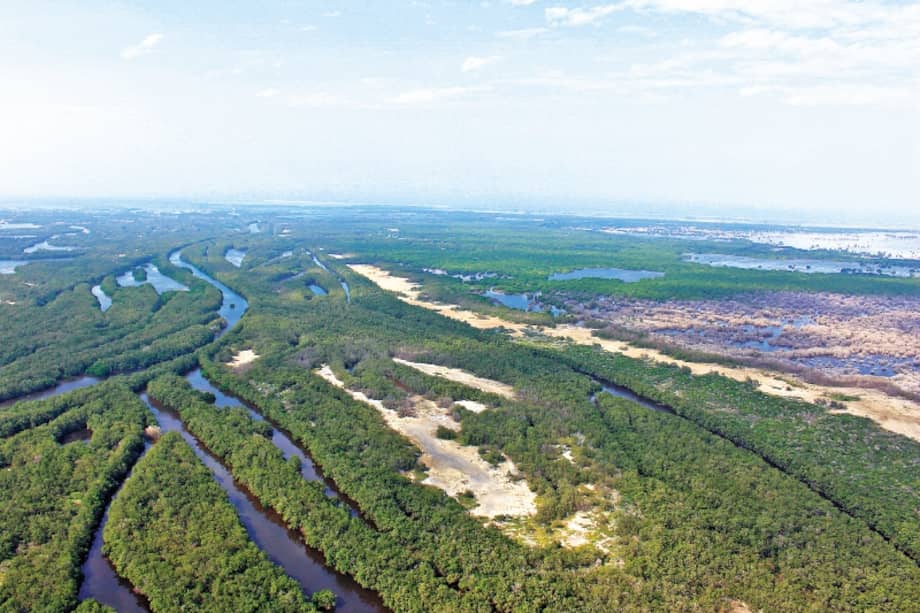 Ciénaga Grande de Santa Marta / Archivo.