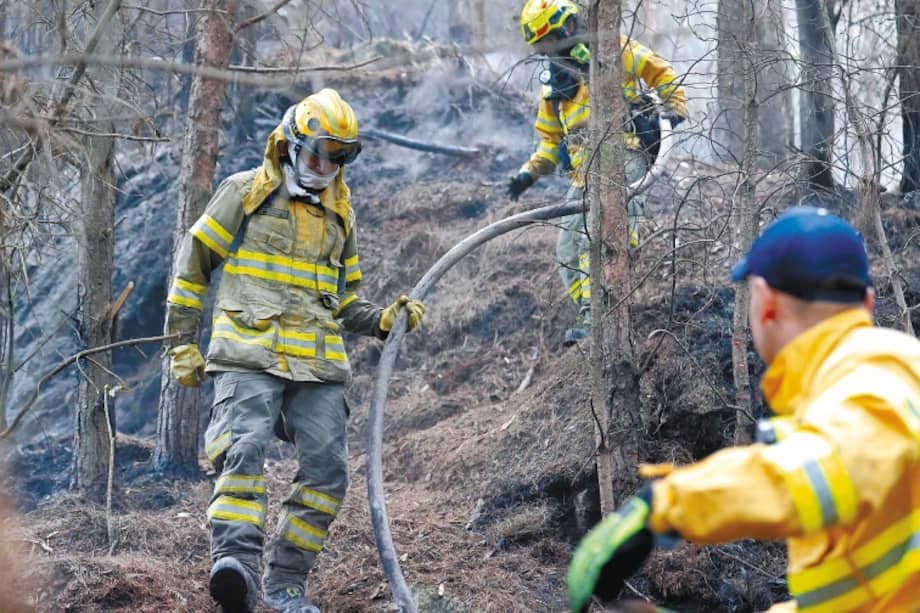AME2250. BOGOTÁ (COLOMBIA), 25/01/2024.- Bomberos trabajan en la extinción de un incendio hoy, en el cerro El Cable, en Bogotá (Colombia). Un total de 31 incendios forestales están activos este jueves en Colombia y afectan a nueve departamentos y Bogotá, donde sigue la emergencia por los fuegos en dos de sus cerros, informó este jueves la Unidad de Nacional de Gestión del Riesgo de Desastre (Ungrd). Los más preocupantes son precisamente los de los cerros orientales y El Cable de Bogotá, pues el humo se extiende por buena parte de la capital y está afectando la calidad del aire y las operaciones aéreas. EFE/ Mauricio Dueñas Castañeda