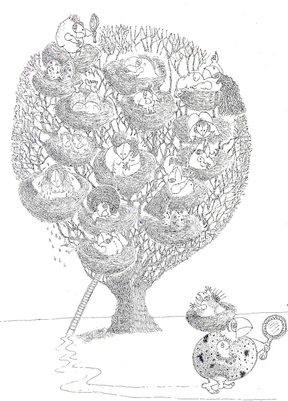 El traductor de pájaros (Cuentos de sábado en la tarde)