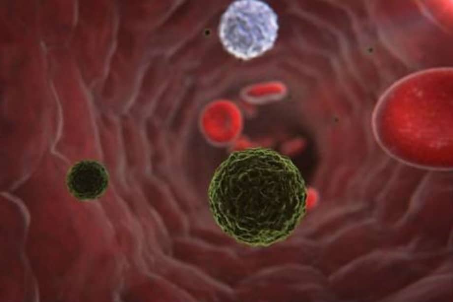 Los phyla tienen un diámetro de 400 nanometros, comparado con un virus convencional como el dengue (imagen) que mide entre 30 y 50 nanómetros en promedio. / Sanofi Pasteur - Flickr