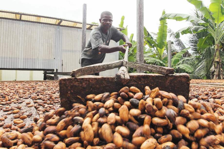 Este país tiene el reconocimiento “Cacao fino y de aroma”, distinción que sólo tiene el 5 % del grano mundial. / EFE