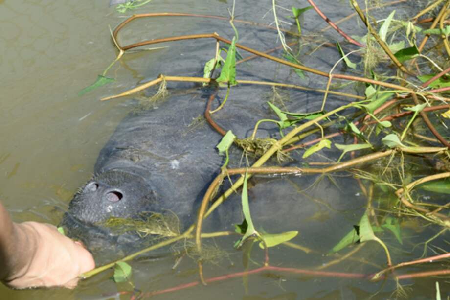 Foto tomada de Twitter.