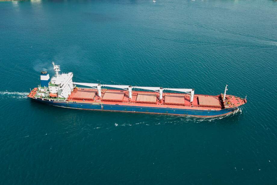 El navío "Razoni", con bandera de Sierra Leona, llegó el martes a las costas del norte de Estambul desde la ciudad ucraniana de Odesa, con 26.000 toneladas de maíz.
