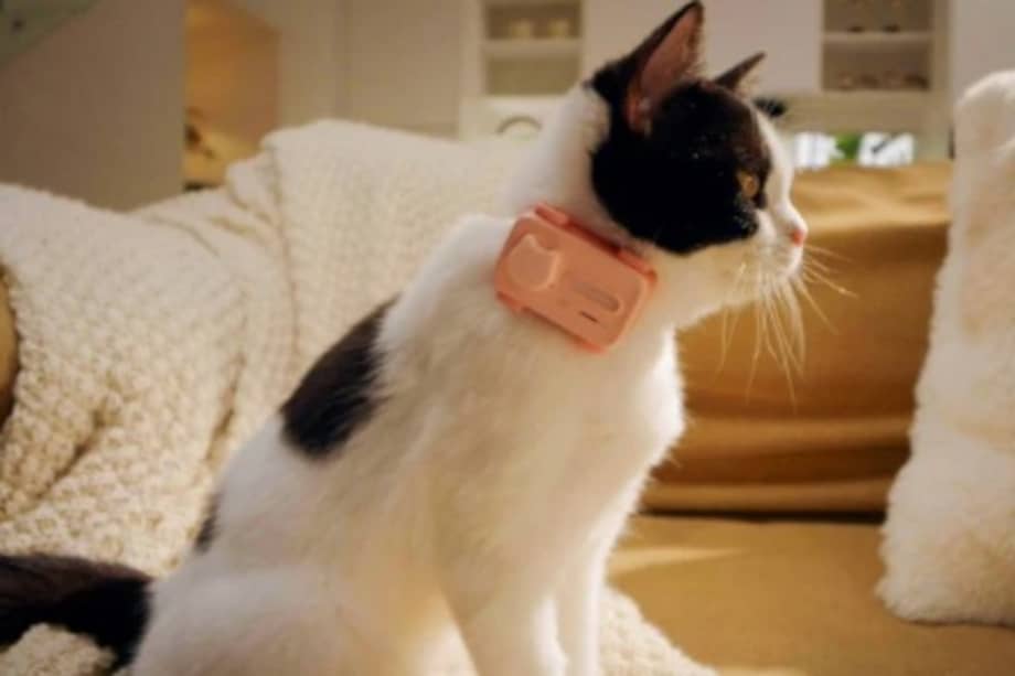 Uno de los principales diferenciales del PetPhone es su sistema de comunicación bidireccional.