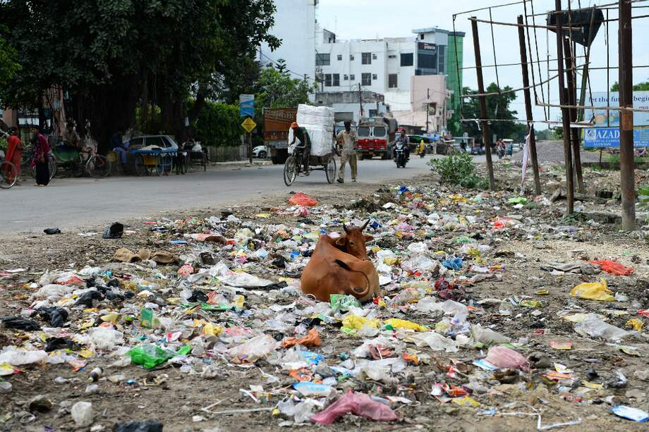Situada a un centenar de kilómetros de la capital regional Lucknow, Gonda era una escala poco conocida para los viajeros que se dirigen a Nepal, muy cerca de allí, o visitan los templos de la región. / AFP