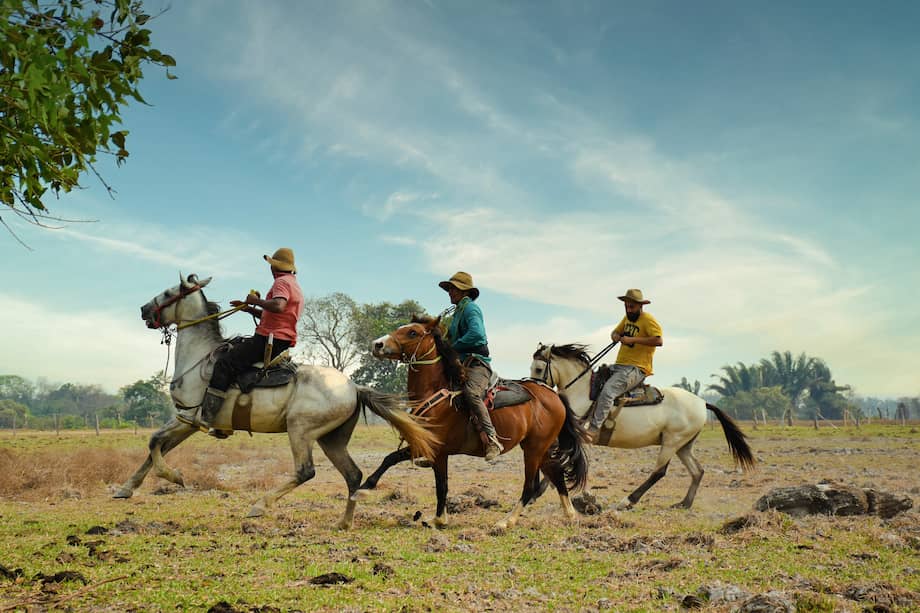 Foto de referencia. / Cortesía