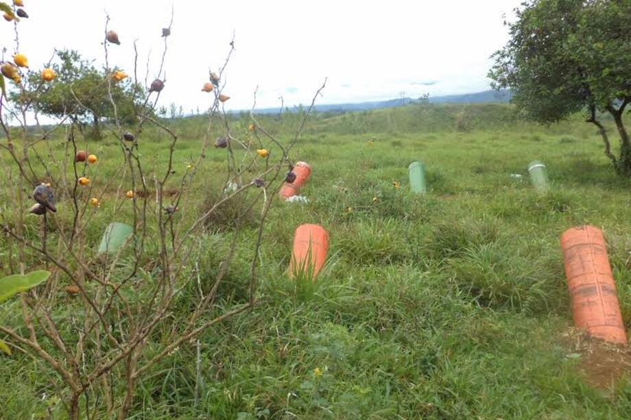 Ejército neutraliza explosivos de las Farc en el oriente del país