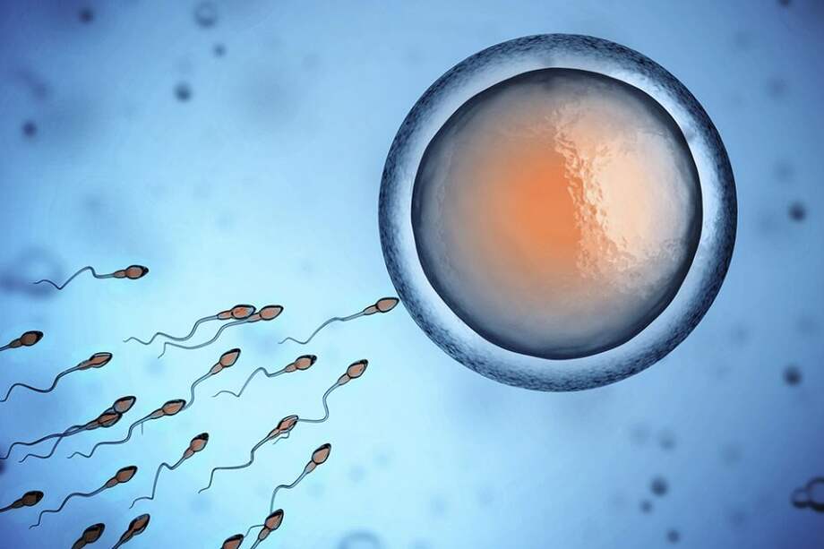 Los hallazgos fueron presentados por la clínica de fertilidad Ginemed, de Sevilla (España). / iStock