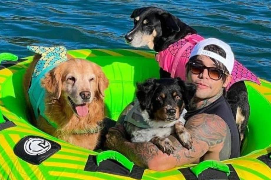 Cossio recordó que hace aproximadamente cinco años la perrita (a la izquierda) fue diagnosticada con cáncer, enfermedad de la cual logró recuperarse.