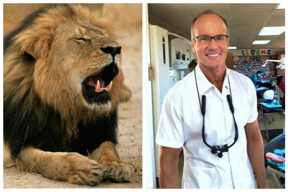 Dentista que mató al león Cecil reabrió su consultorio