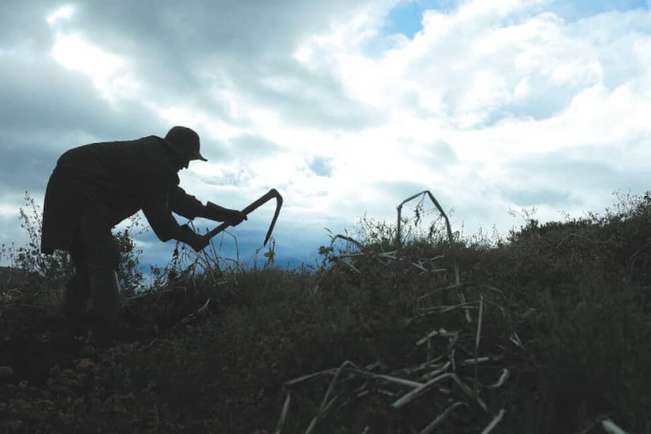 Este jueves, 25 de febrero, entre las 8:00 y 11:00 a.m., la FAO Colombia abre un espacio virtual y presenta algunos aportes que le propone al país para avanzar en su gobernanza y gestión territorial. El evento será transmitido vía Facebook Live por los canales de Colombia2020.