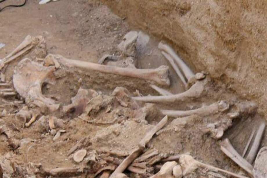 Archivo EFE / Archivo EFE