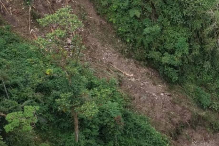 Los equipos de la Secretaría de Ambiente y Gestión del Riesgo de Ibagué realizaron sobrevuelos con drones para identificar los puntos afectados.