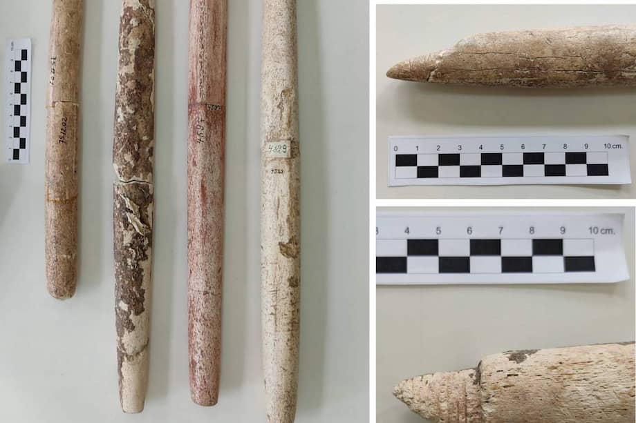 Astiles de arpón hallados en un entierro humano en Morro do Ouro. / Museu Arqueológico de Sambaqui de Joinville (MASJ), Brasil