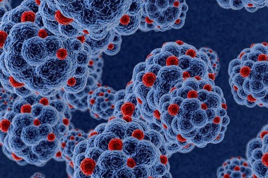 Células atacadas por el VIH. /