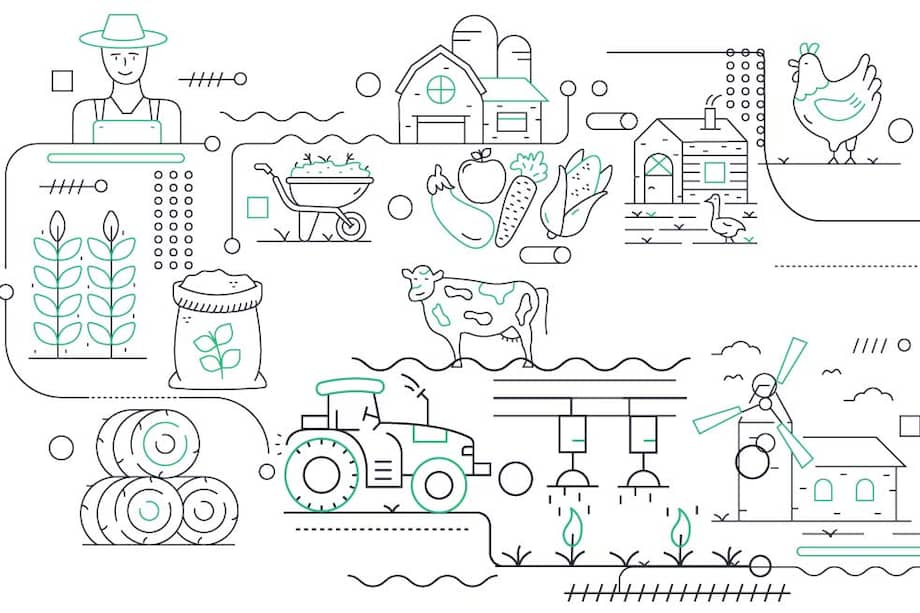 Imagen de referencia