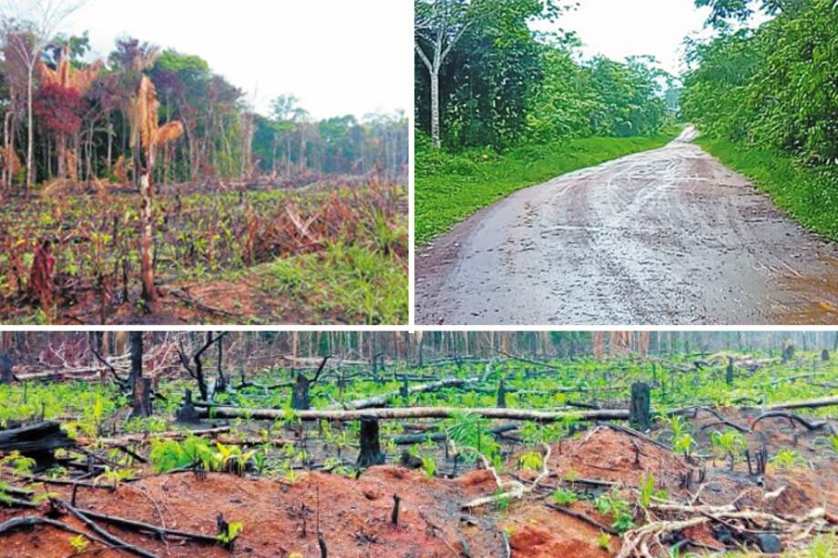 Imágenes tomadas hace un mes de la carretera ilegal que se abre paso entre La Macarena y San José del Guaviare/ Cortesía
