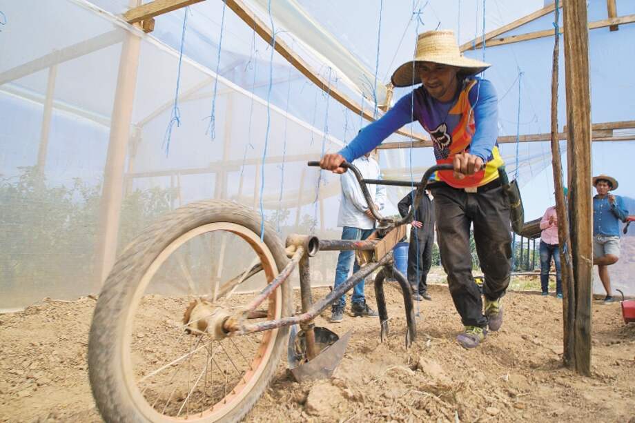 Herramienta que facilita la apertura de surcos en los cultivos una vez está preparada la tierra, creada en el encuentro internacional de diseño en Guaviare. / Fotos: Cortesía Unal