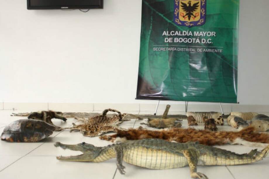 Foto de referencia. / Alcaldía de Bogotá