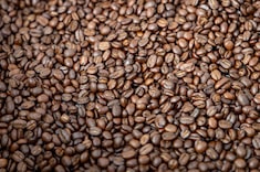 Café, cacao y palma enfrentan el reto de cero deforestación para llegar a mercados de la UE