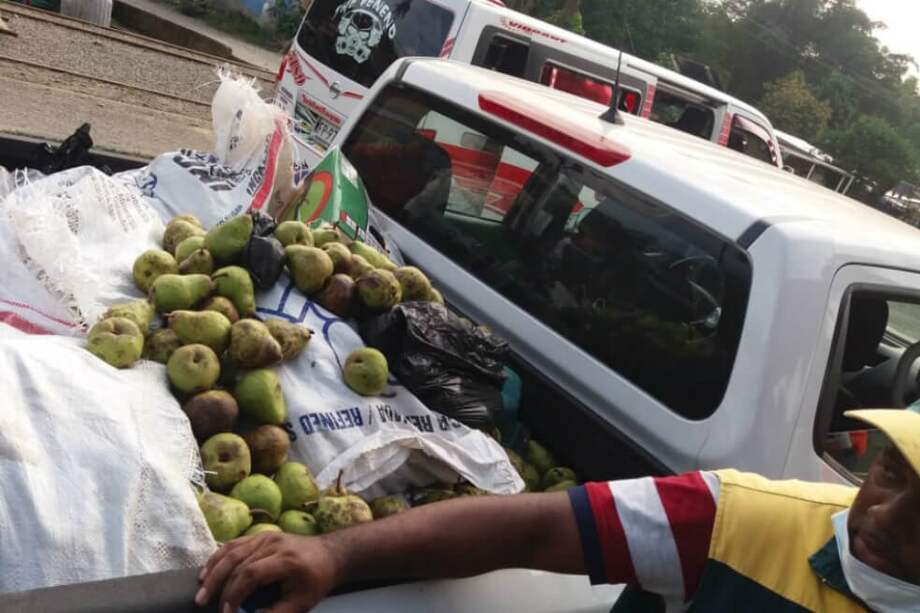 Un cargamento de 1.280 cajas contenía una plaga que fue identificada por el ICA como Cydia pomonella (polilla). / Tomada de Twitter