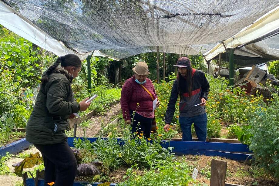 El Planetario tiene un enfoque fuerte en la astrobiología, y uno de sus principios clave es comprender cómo el cosmos se conecta con la vida en la Tierra