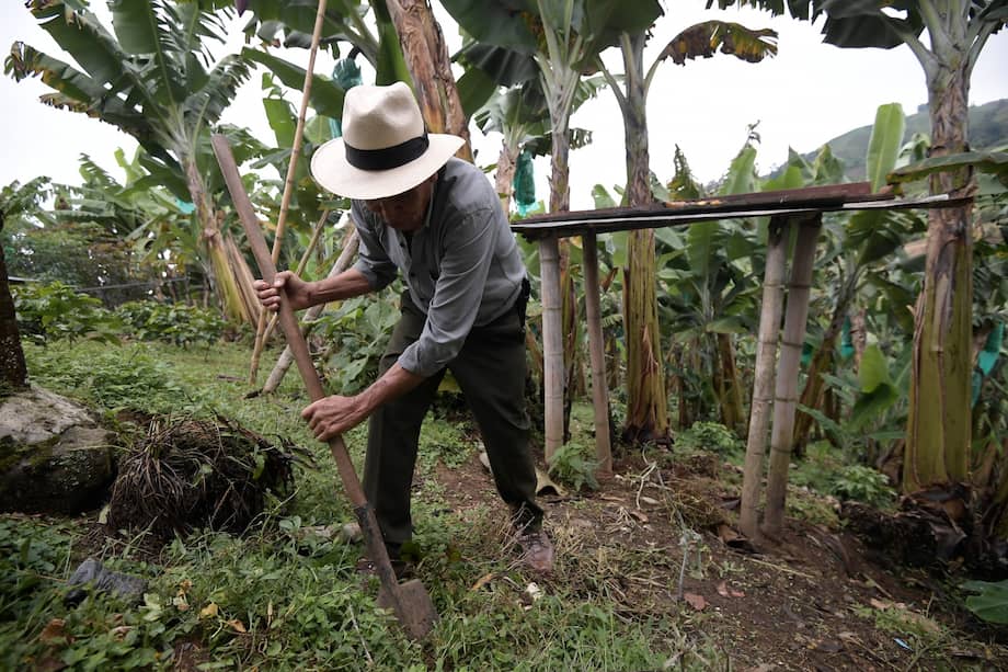 El clima es el mayor factor de riesgo para los productores y campesinos. /