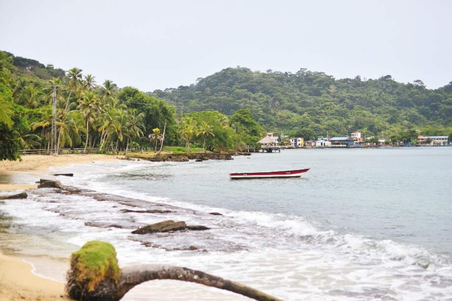 Combatir el cambio climático, la esperanza del Urabá