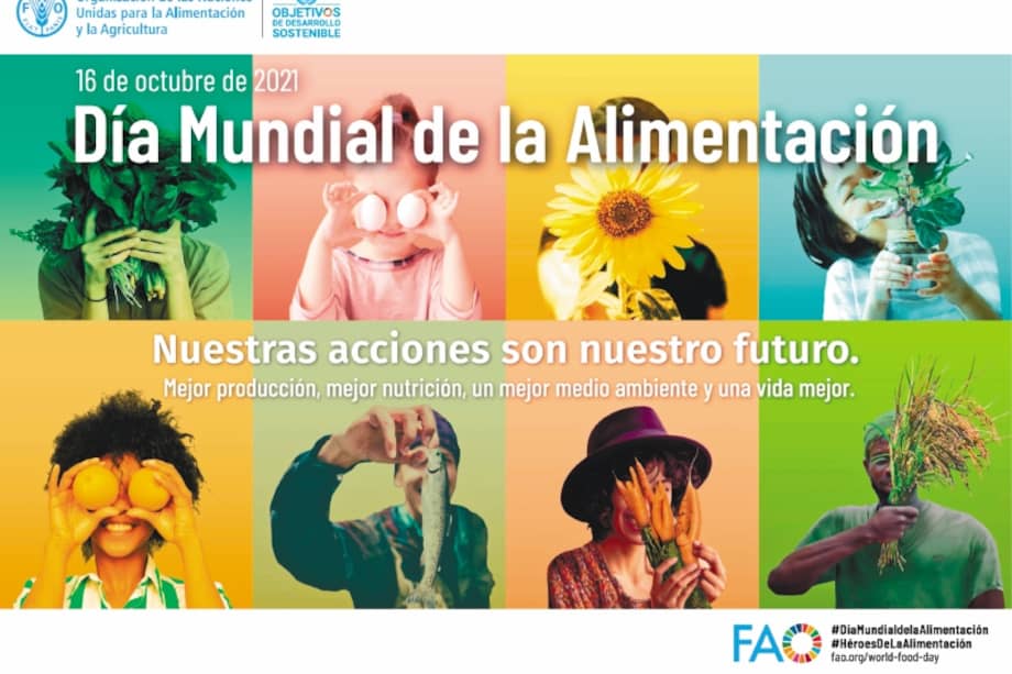 Los sistemas agroalimentarios emplean a 1.000 millones de personas en el mundo /FAO