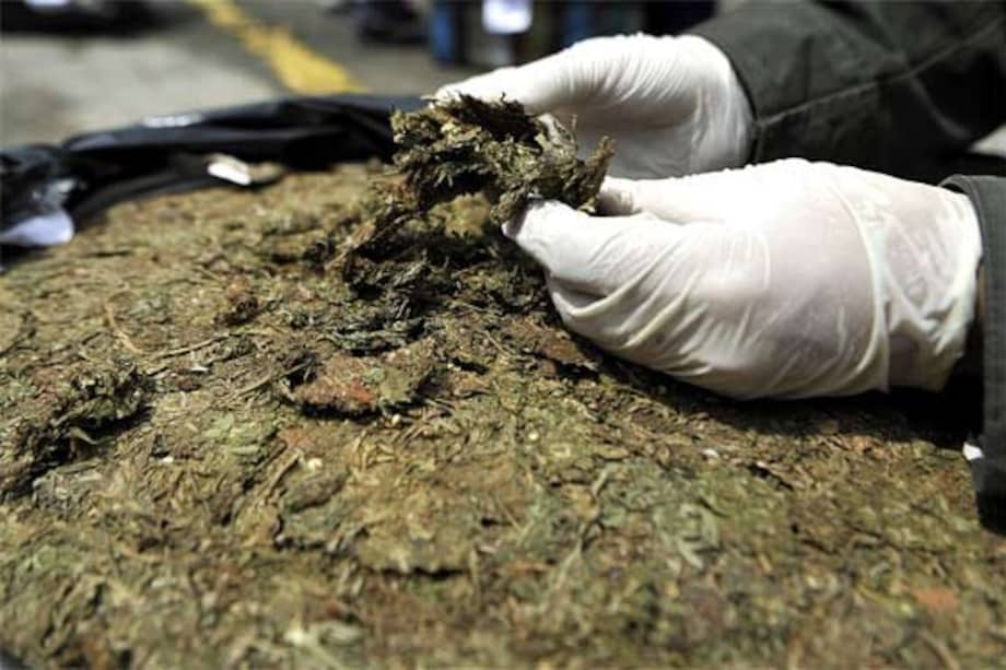 Incautan 3,6 toneladas de marihuana escondidas entre espaguetis en Valle del Cauca