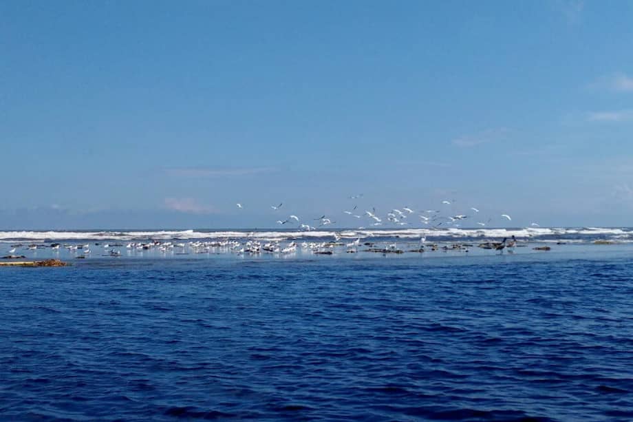 El Vía Parque Isla Salamanca tiene más de 56 mil hectáreas. / PNN